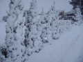 Sneg v Mekotnjaku