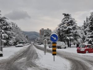 Sneg v Novi Gorici