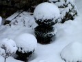 Sneg v Prlekiji