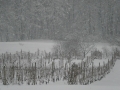 Sneg v Velikem Brebrovniku