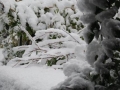 Sneg v Železnih Dverih