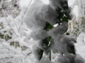 Sneg v Železnih Dverih