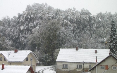 Sneg v Ljutomeru