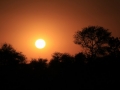 Sončni zahod nad Kruger parkom