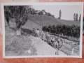 Spomini