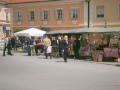 Sveta birma v Ljutomeru