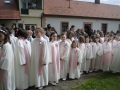 Sveto obhajilo v župniji Ljutomer