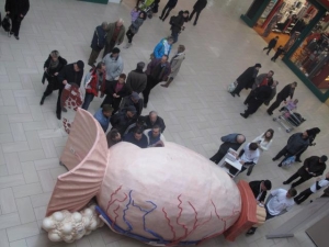 Petmetrski model prostate v murskosoboškem Maximusu