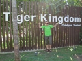 In že vstopamo v Kraljestvo tigrov - Tiger Kingdom