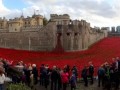 Dih jemajoča instalacija Blood Swept Lands and Seas of Red umetnika Paula Cumminsa in scenografa Toma Piperja je privabila množice obiskovalcev, v štirih mesecih pet milijonov ljudi iz celega sveta.