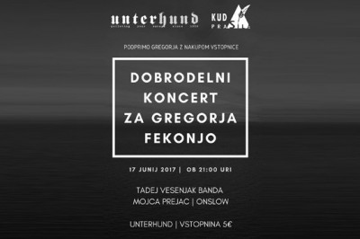 Dobrodelni koncert za Gregorja