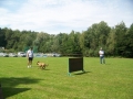 Turnir šolanih psov  v Lukavcih