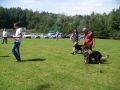 Turnir šolanih psov  v Lukavcih