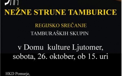 Nežne strune tamburice