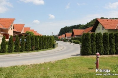 Na Razlagovi ulici je v mukah poginilo že šest mačk, tri mačke pa še vedno pogrešajo