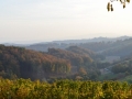 V. Oktober VINOfest