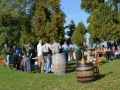 V. Oktober VINOfest