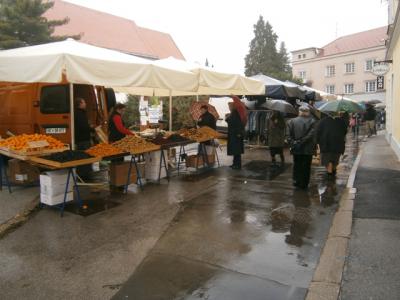Martinov sejem v Ormožu