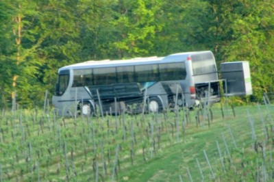 Turistični avtobus se je ustavil sredi prleških vinogradov