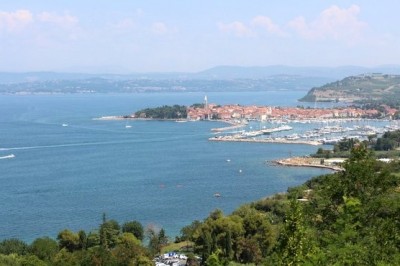 Izola