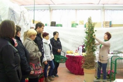 Delavnica o krašenju cerkva za advent in božič