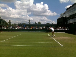 Polona Hercog