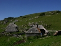 Velika planina