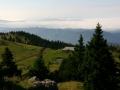 Velika planina