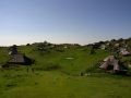 Velika planina