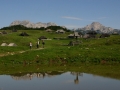 Velika planina