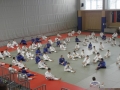 VIII. prednovoletne judo priprave