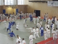 VIII. prednovoletne judo priprave