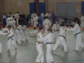 VIII. prednovoletne judo priprave