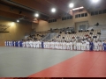 VIII. prednovoletne judo priprave