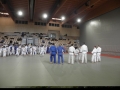 VIII. prednovoletne judo priprave