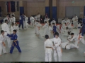 VIII. prednovoletne judo priprave