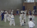 VIII. prednovoletne judo priprave