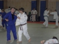 VIII. prednovoletne judo priprave