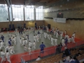 VIII. prednovoletne judo priprave