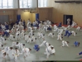 VIII. prednovoletne judo priprave