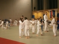 VIII. prednovoletne judo priprave