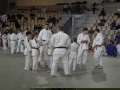 VIII. prednovoletne judo priprave