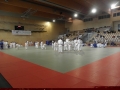 VIII. prednovoletne judo priprave