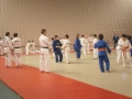 VIII. prednovoletne judo priprave