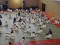 VIII. prednovoletne judo priprave