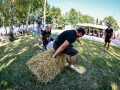 Vinogradniške vaške igre