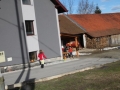 Voščila ob dnevu žena