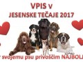 Vpis v jesenske tečaje šolanja psov ŠKD Ljutomer-Križevci