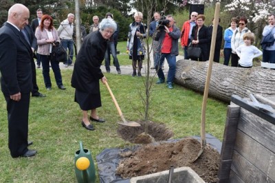 Svakinja Gizi Vratuša zasaja sadilo hrasta