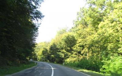 Kačure
